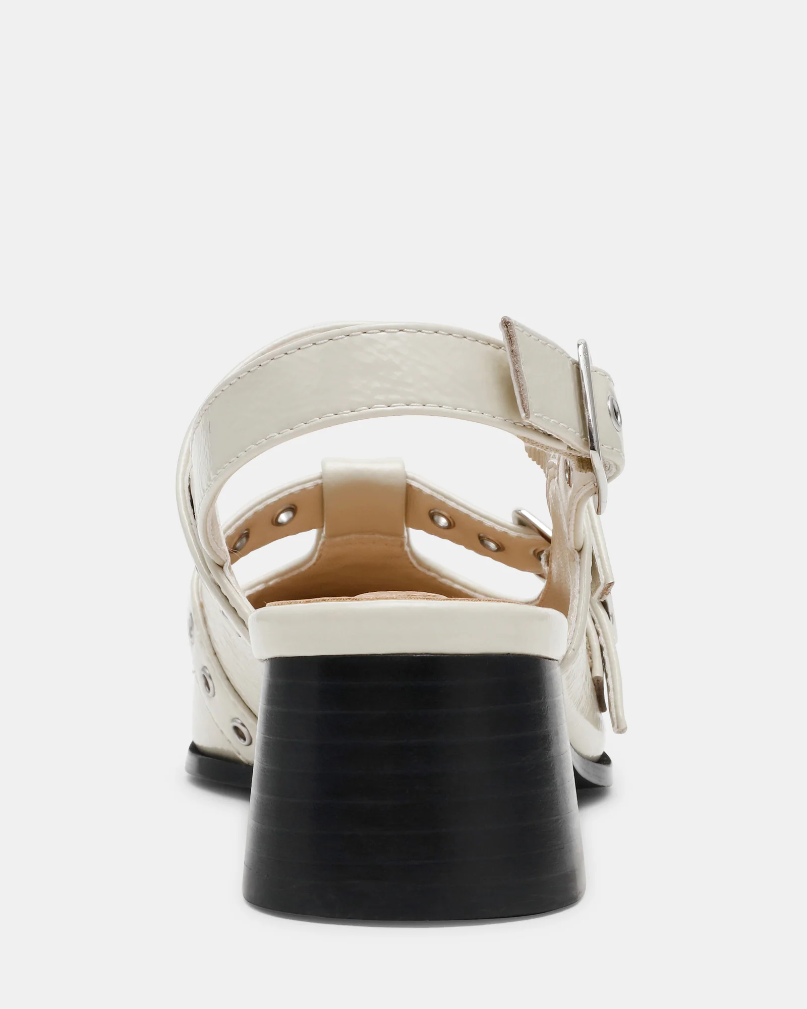 GALACTIA BONE - Image 6