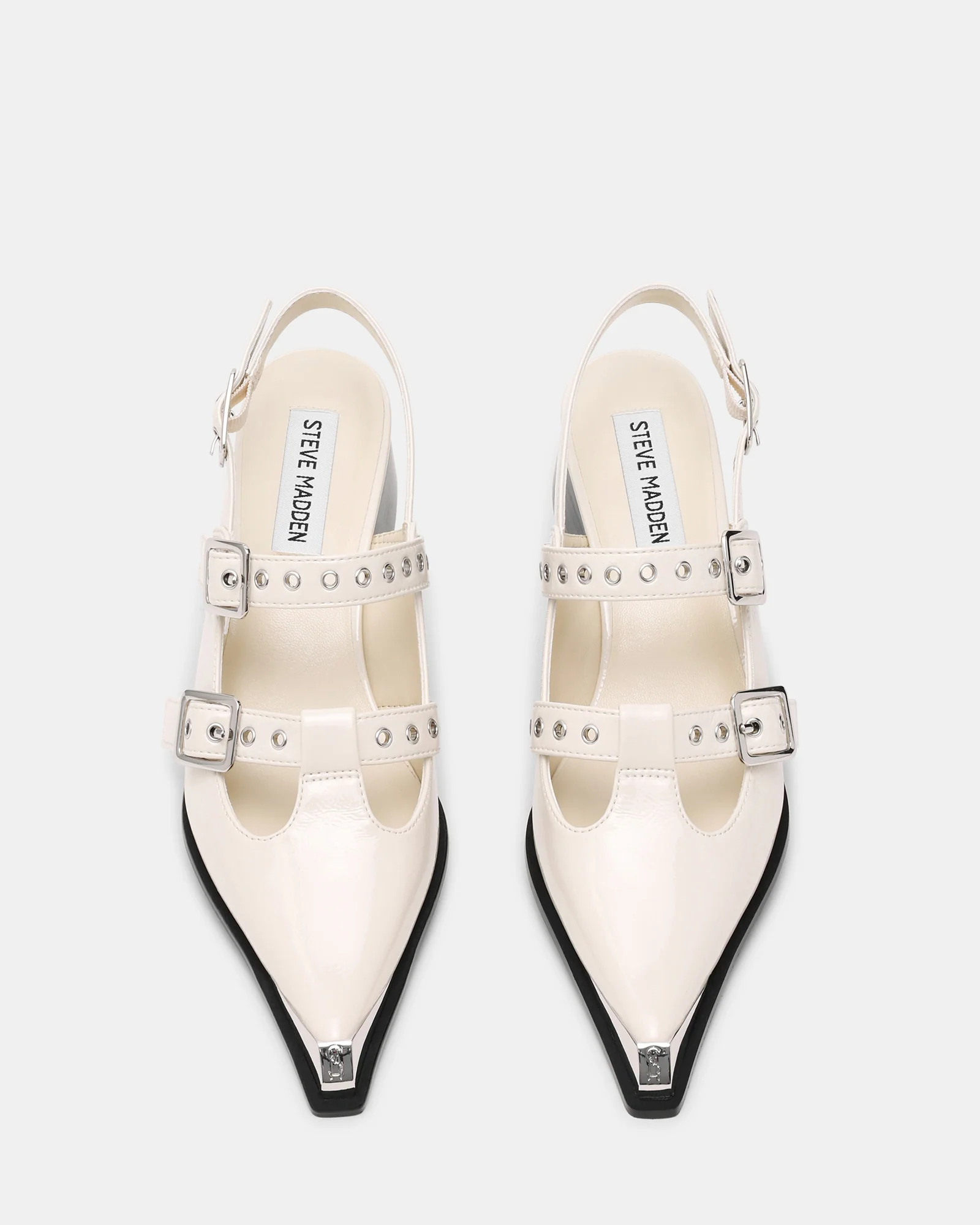 GALACTIA BONE - Image 7